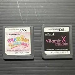 【DSソフト】ビタエボ　ラブレボ　ソフト2本