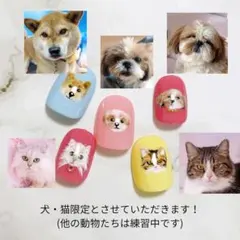 ペットの似顔絵オーダーネイルチップ/うちの子グッズ/犬/猫/にがおえ/