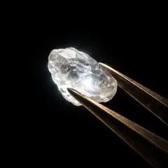 KN 様専用出品