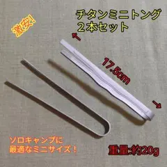 Item thumbnail for item 66fe5004-552a-4ef7-b86c-2b99ed64119b