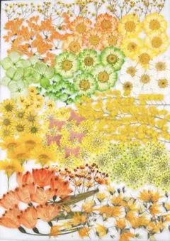 Item thumbnail for item 386f547f-baa4-4e83-8bec-bf50231818e0