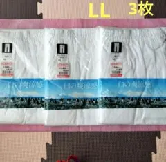 メンズ肌着 紳士肌着 ズボン下 ロンパン LL 2L 白 新品 クレープ 夏のサムネイル