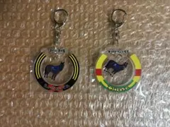 ウェルカムチャンス 2025年GIレース アクリルキーホルダー