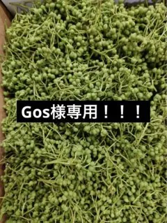 天然 花山椒 50g 採りたて 青森産 クール便 - メルカリ