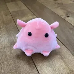 海中散歩 メンダコ ぬいぐるみ 美品のサムネイル
