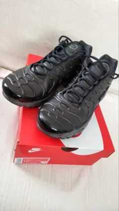 Nike Air Max Plus Dブラウン 10 .5(US) 1度使用のみ