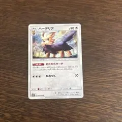 ポケモンカード　ハーデリア　おたからサーチ　SM1S