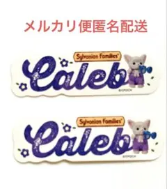 シルバニアファミリー カレブ ネームステッカー シール フェネック 赤ちゃん