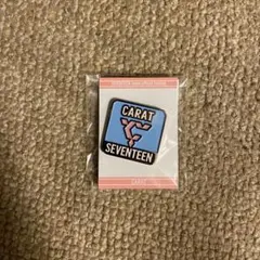 SEVENTEEN ファンクラブ特典 ピンバッジ