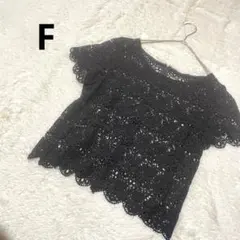 クロシェ編み 半袖カットソー 総レース 黒 花柄 スカラップ トップス/F