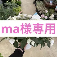 ma様専用のサムネイル