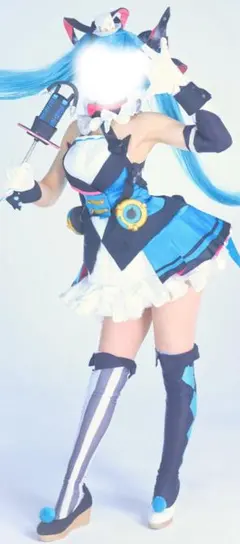 初音ミク　ウィッグ　セット済　ボカロ 2026年最新】初音ミク ウィッグ セット済みの人気アイテム - メルカリ