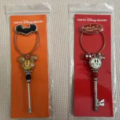 ★バラ売り可★ディズニー25周年限定ドリームキーキーホルダー★