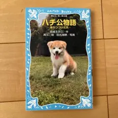 Item thumbnail for item a674b703-fe7f-4104-9281-2e61e58eb2ae