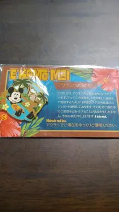 ディズニーピンバッチ　アウラニ