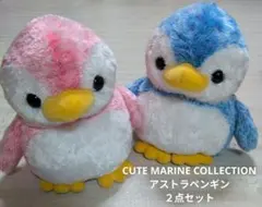 CUTE MARINE COLLECTION アストラペンギン ２点セット
