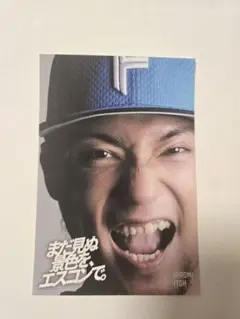 伊藤大海 応援グッズ