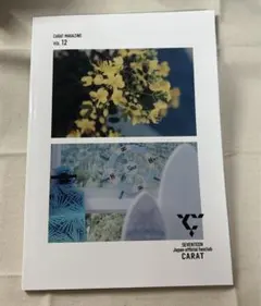 SEVENTEEN 会報誌 FC継続特典  VOL.12