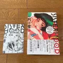 SISTERHOOD LITTLE THUNDER ART BOOK