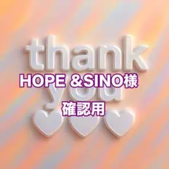 HOPE &SINO様　確認用