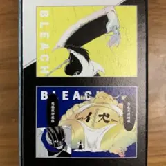 BLEACH ポスター2セット