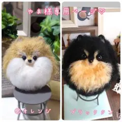 □あさひさま専用ブラックタンポメラニアンちゃん2体オーダー確認用