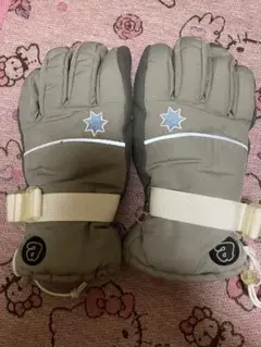 スキーグローブ 100