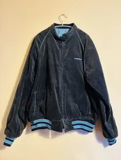 Item thumbnail for item 67e2f131-7f12-452c-a5b0-457f14ec448d