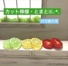 332ミニチュア✨️カット檸檬・とまとꕤ.·*.