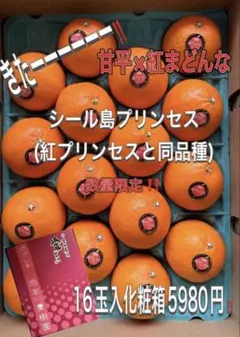 きたーーー‼️超美味！島プリンセス化粧箱入り(紅プリンセスと同品種)5980円7