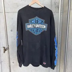 d*9様 90sヴィンテージ希少ブルーフレイムハーレーロングスリーブTシャツファ d*9様 90sヴィンテージ希少ブルーフレイムハーレーロングスリーブT