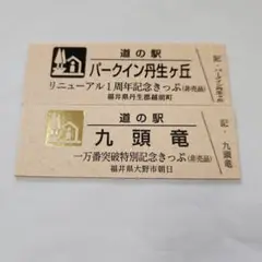 道の駅きっぷ　【非売品】　青洲の里　４周年記念きっぷ　一番きっぷ　№０００９０１ 道の駅きっぷ 【非売品】 青洲の里 4周年記念きっぷ 一番きっぷ