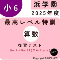 2026年最新】浜学園 小6 最高レベル特訓 テキストの人気アイテム