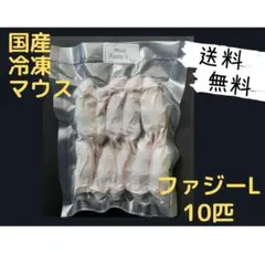 国産冷凍マウス ファジー 20匹 (送料無料一部地域発送不可) - メルカリ