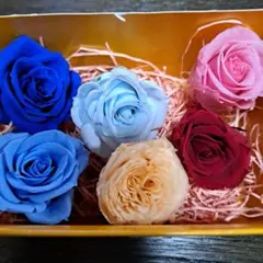 プリザーブドフラワー 6輪セット