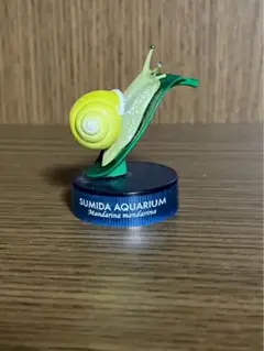 日本水族館立体生物図録　カタツムリ　海洋堂生き物 フィギュアのサムネイル