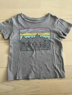 patagonia ベビー フィッツロイ スカイズ Tシャツ 95cm