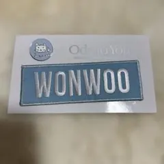 SEVENTEEN ディノ Ode to You ネームワッペンバッジ セブチ - メルカリ