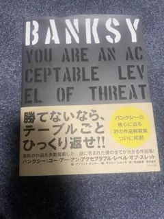 レアBANKSY YOU ARE AN ACCEPTABLE LEVEL
