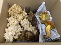 天然きのこ詰め合わせ１ｋｇ！のサムネイル