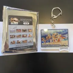 ハイキュー展　メモリアルコレクション　キーホルダー　烏野