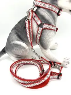 犬用品　首輪・ハーネス・ショルダーリード・ジョイントリードのフルセット