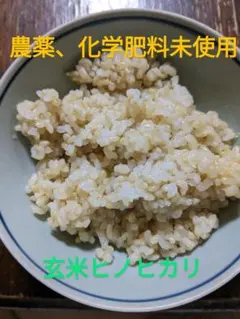 2025年産！九州・福岡県朝倉市産ヒノヒカリ玄米20キロ(農薬不使用・無