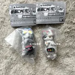 仮面にゃいだー その2