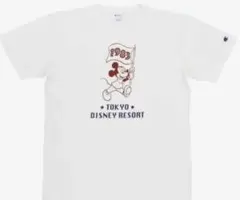 東京ディズニーリゾートTシャツ 2枚セット