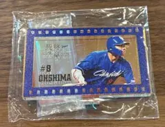 【バンテリンドーム限定ガチャ】大島洋平オーロラミニアクリルスタンド