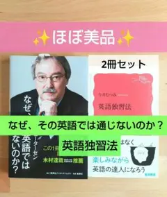 ほぼ美品 なぜ 、その英語では通じないのか 英語独習法 今井むつみ 2冊セット