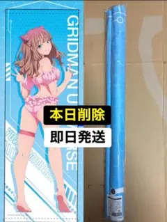 くじメイト グリッドマンユニバース A賞 ロングタペストリー 南夢芽