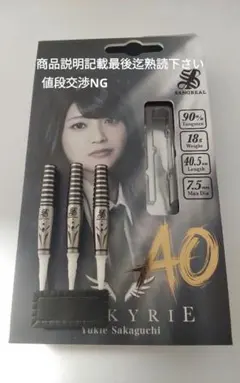 New版 本日限り価格!坂口優希恵!超綺麗!新品同!新品付録付!ダーツセット New版 限定!坂口優希恵!超綺麗!新品同質感!新品付録付!ダーツセット