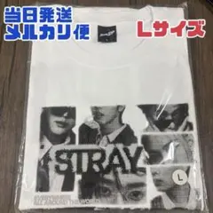 新品未開封】ハロルド作石 × フォーリミ Tシャツ ホワイト☆ L - メルカリ